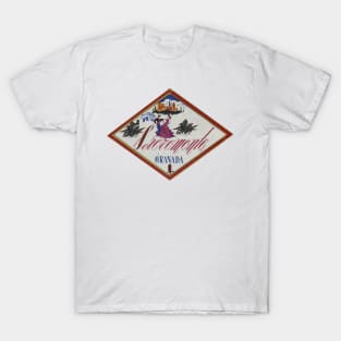 Flamenco Granada Andalucia Spain Vintage T-Shirt